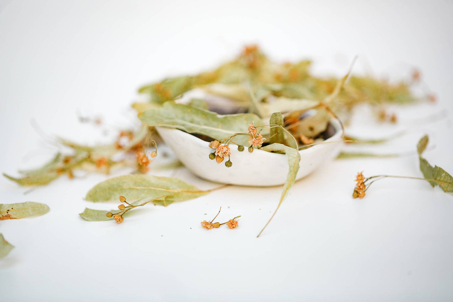Linden Tea - honey tea, certified organic Nordic herbal tea