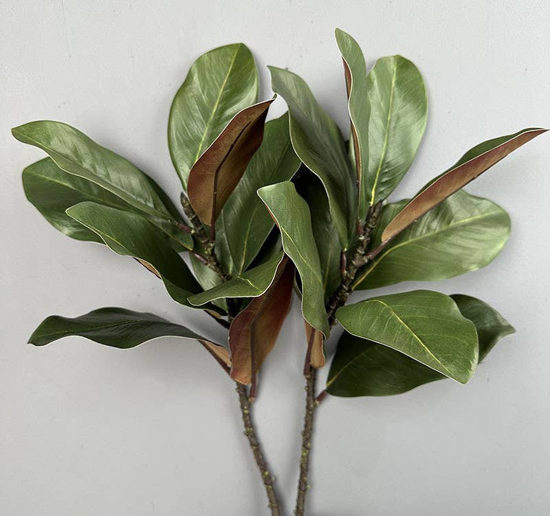 22''T Nature Touch Faux Magnolia Leaf Branch, Indoor/Ourdoor