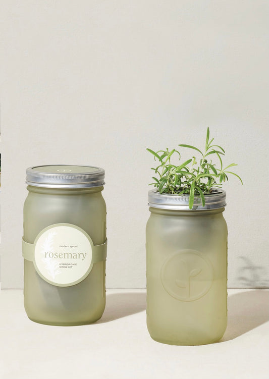 Garden Jar - Rosemary