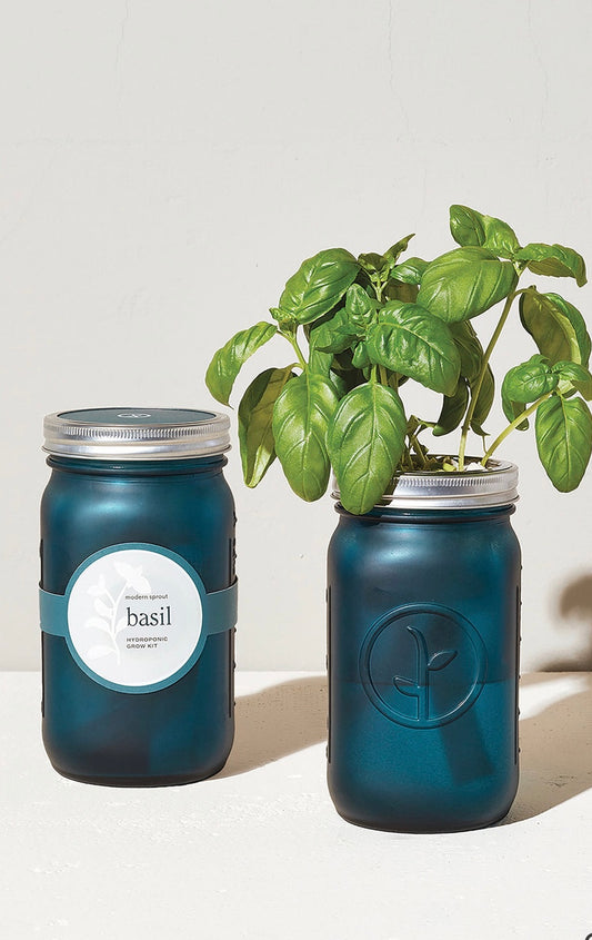 Garden Jar - Basil