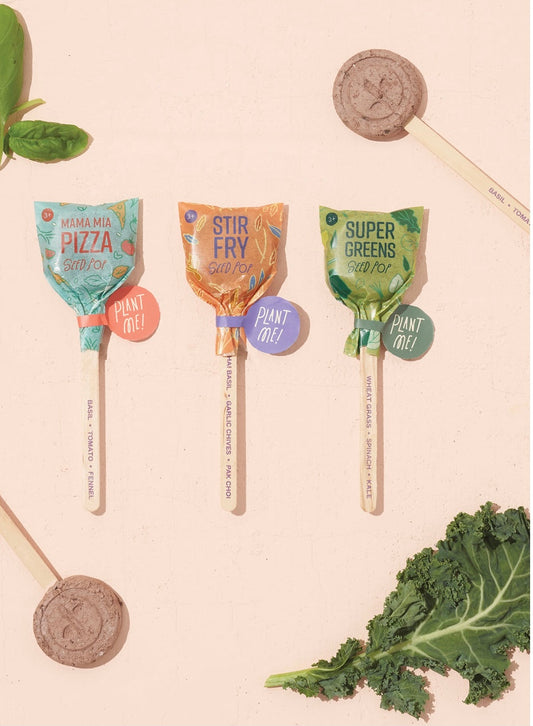 Seed Lollipop - Culinary - 3 Pack