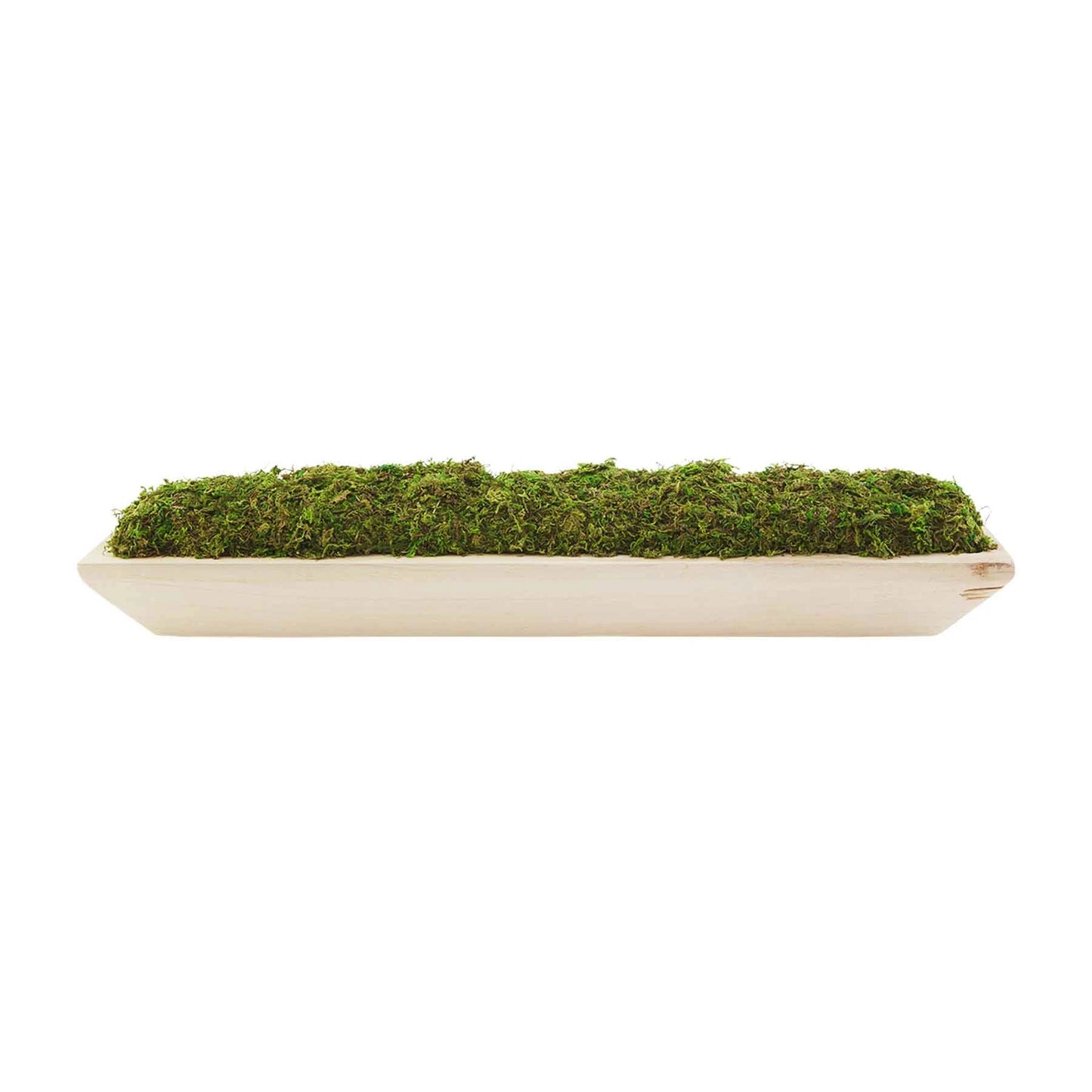 Large Moss Tray