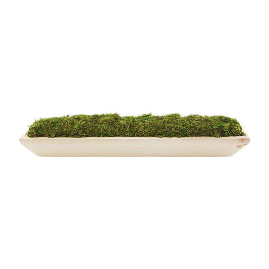 Large Moss Tray