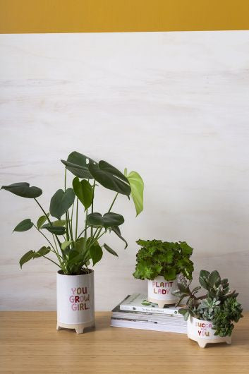 Plant Luv Collection