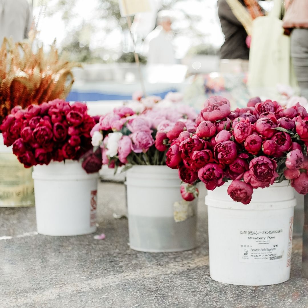 Bucket of Blooms