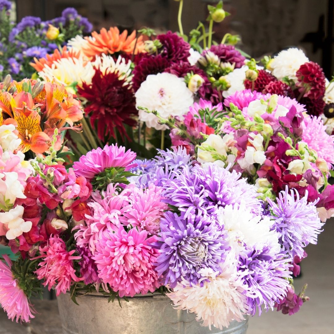 Bucket of Blooms